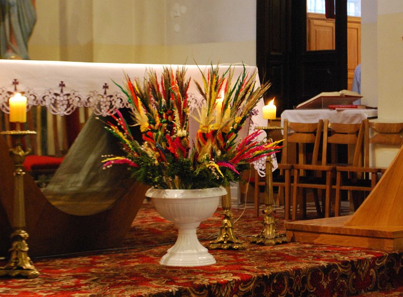 zdjęcie: DSC_0007.jpg