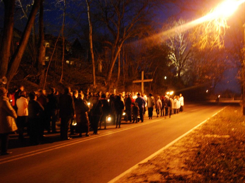 zdjęcie: DSC_0143.jpg