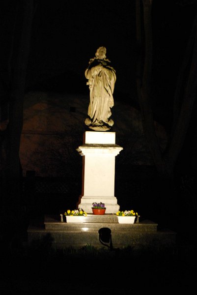 zdjęcie: DSC_0156.jpg