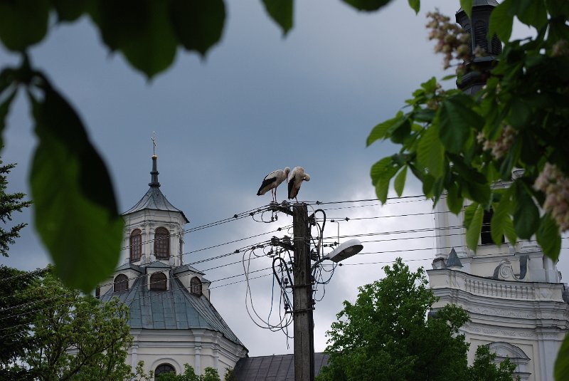 zdjęcie: DSC_0053.JPG