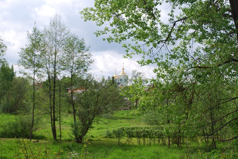 zdjęcie: DSC_0189.JPG