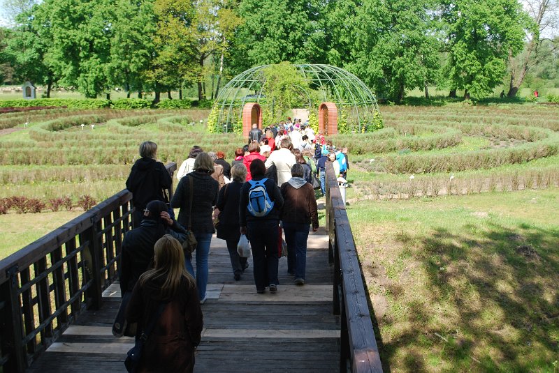 zdjęcie: DSC_0209.JPG