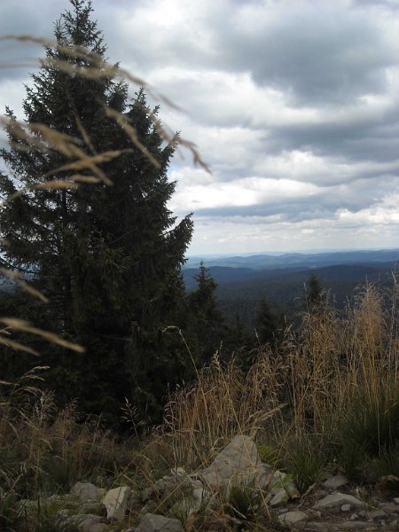 zdjęcie: WI_0809_L06_104NIKON_DSCN7661.JPG