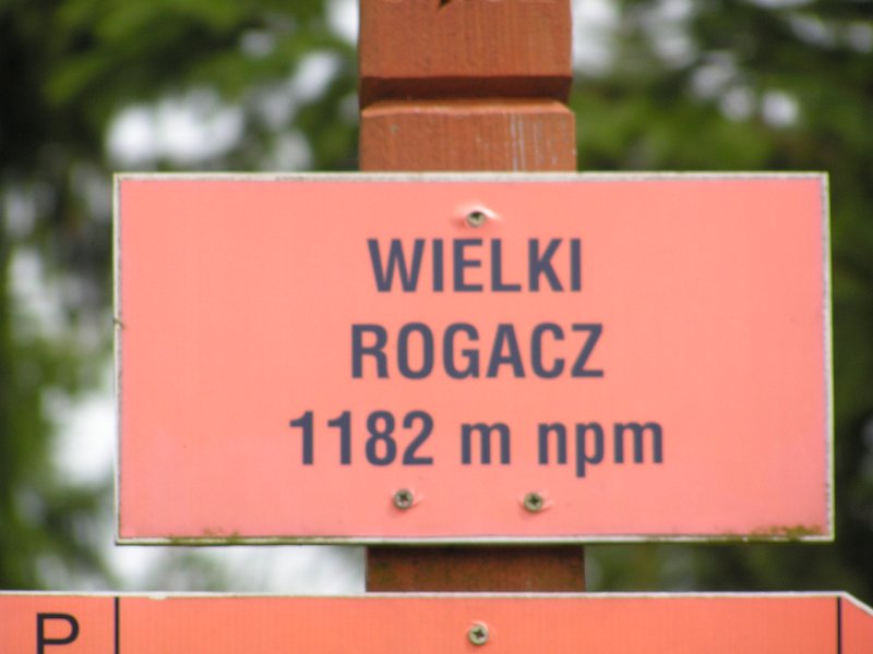 zdjęcie: WI_0815_L03_PICT0168.JPG