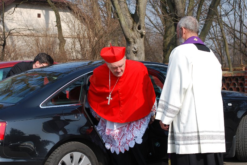 zdjęcie: DSC_0041.JPG