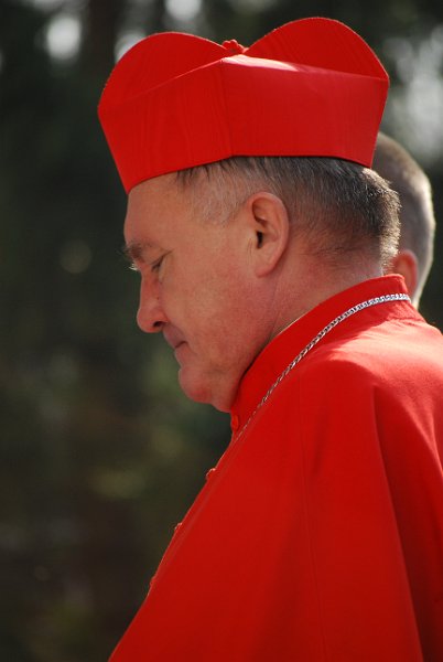 zdjęcie: DSC_0055.JPG