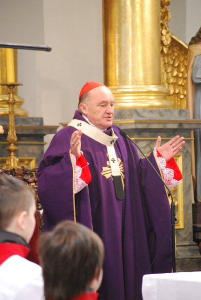 zdjęcie: DSC_0098.JPG