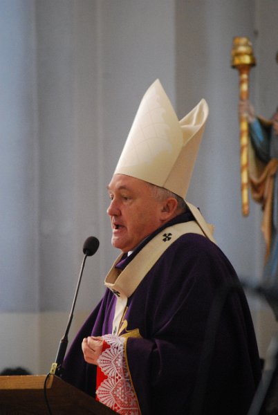 zdjęcie: DSC_0125.JPG