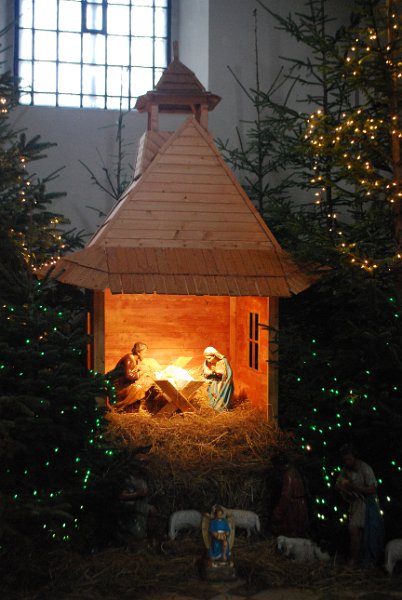 zdjęcie: DSC_0455.JPG