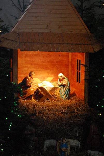 zdjęcie: DSC_0456.JPG