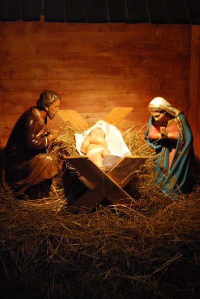 zdjęcie: DSC_0457.JPG