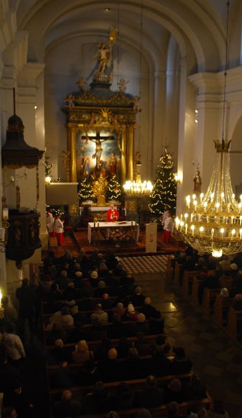 zdjęcie: DSC_0449.JPG