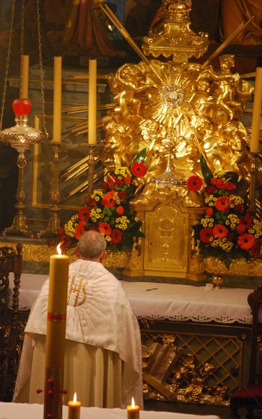 zdjęcie: DSC_0203.JPG