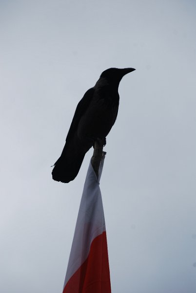 zdjęcie: DSC_0191.JPG