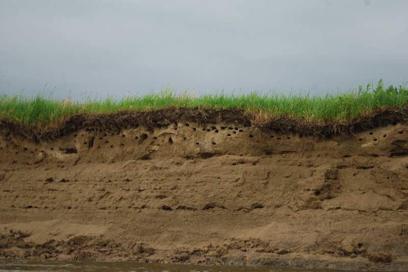 zdjęcie: DSC_0420.JPG