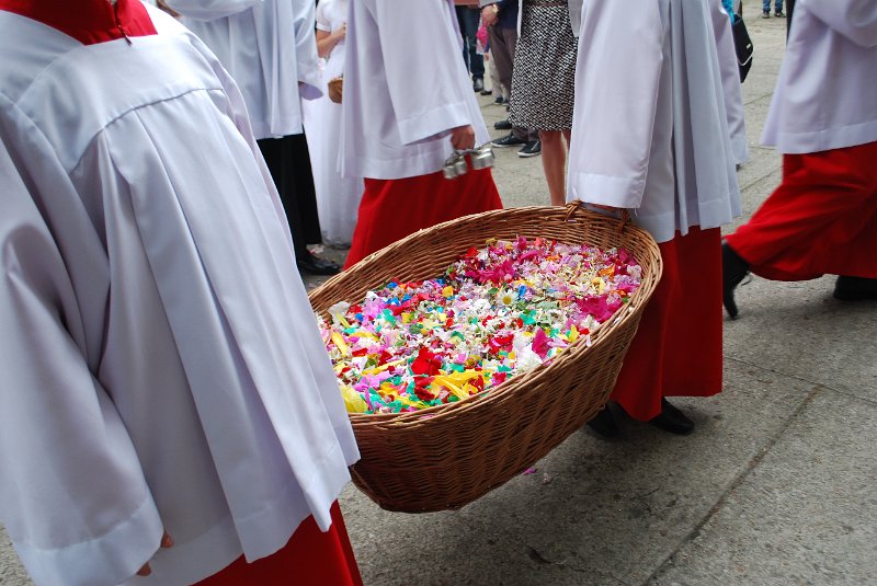 zdjęcie: DSC_0012.JPG