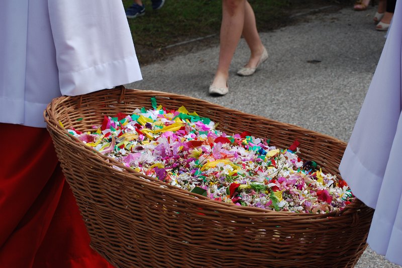 zdjęcie: DSC_0078.JPG