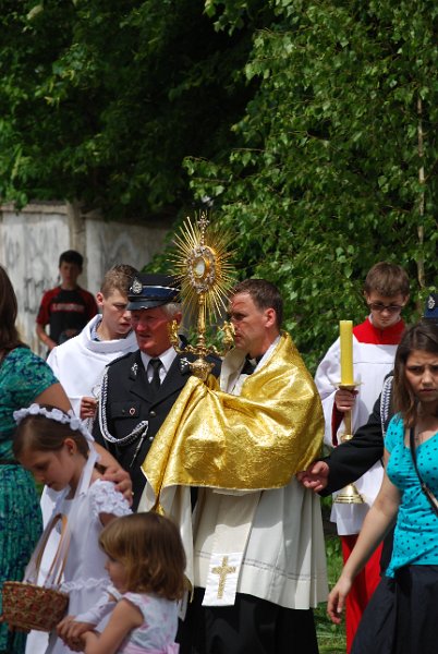 zdjęcie: DSC_0098.JPG