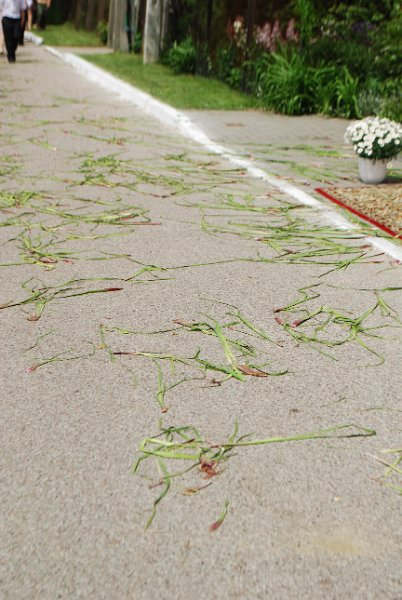 zdjęcie: DSC_0113.JPG