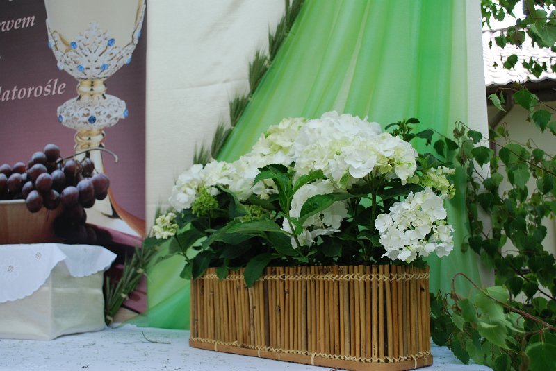 zdjęcie: DSC_0117.JPG