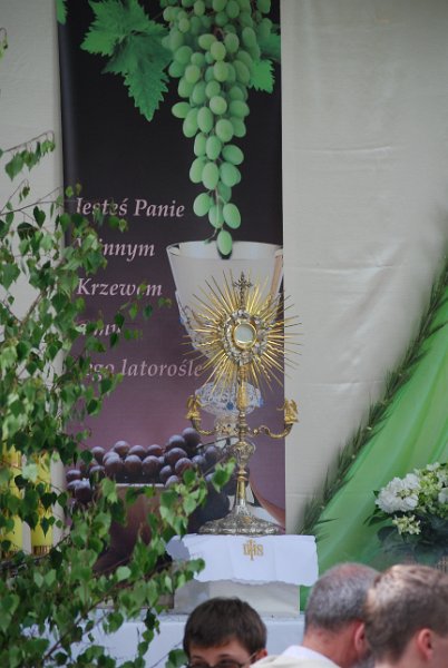 zdjęcie: DSC_0124.JPG