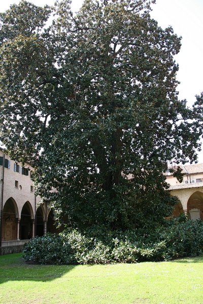 zdjęcie: xdk_024.JPG