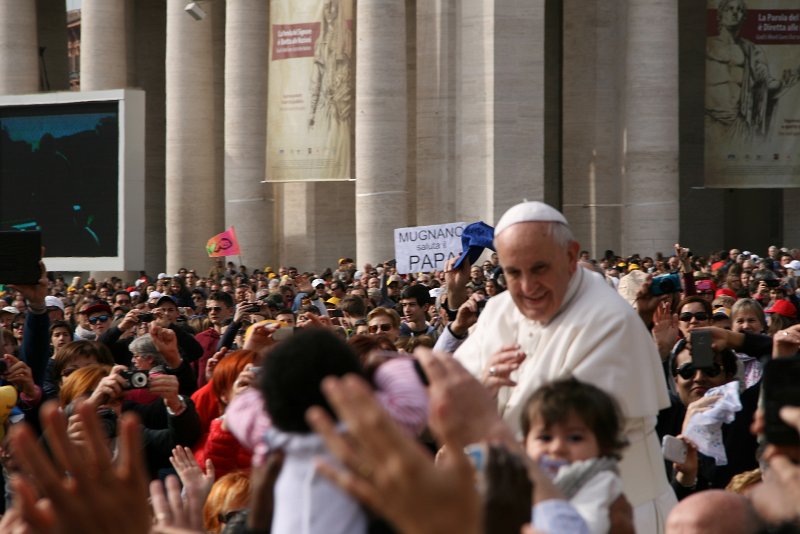 zdjęcie: xdk_445.JPG