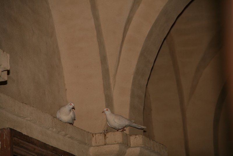 zdjęcie: xdk_931.JPG