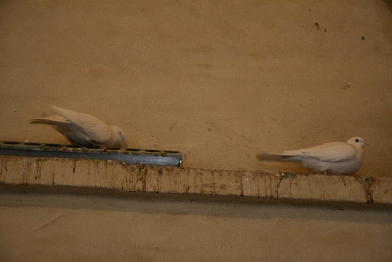 zdjęcie: xdk_933.JPG