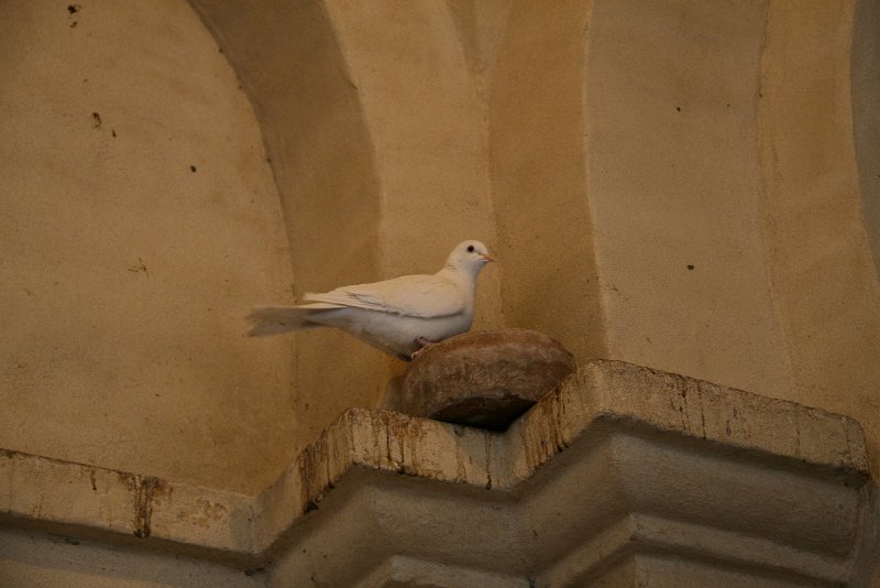 zdjęcie: xdk_934.JPG