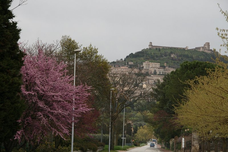 zdjęcie: xdk_959.JPG