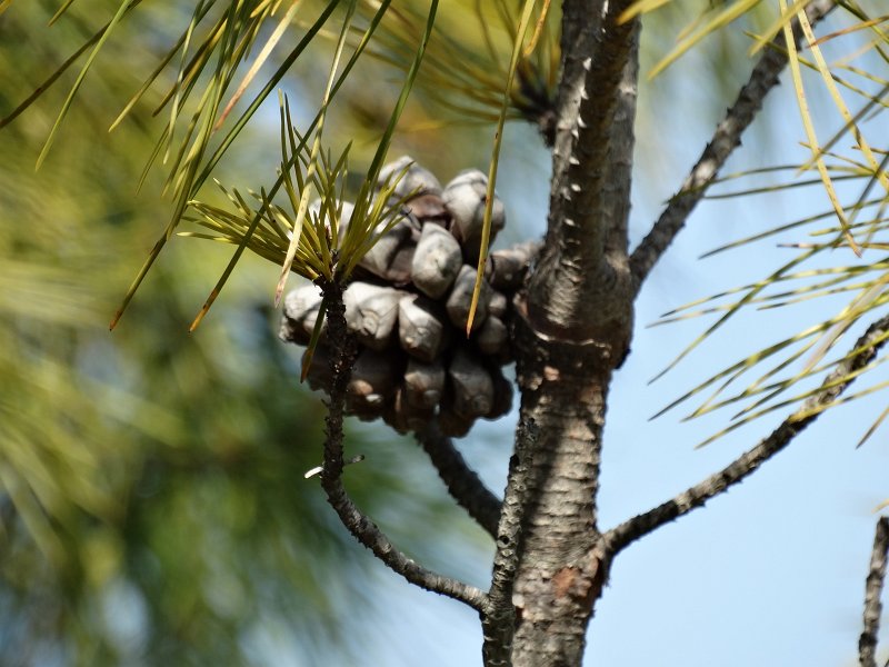 zdjęcie: JOZ_132.JPG