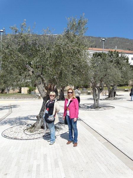 zdjęcie: JOZ_228.JPG