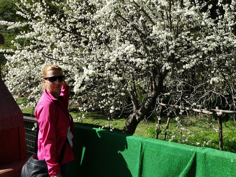 zdjęcie: JOZ_235.JPG