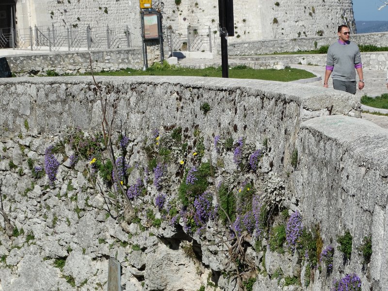 zdjęcie: JOZ_243.JPG