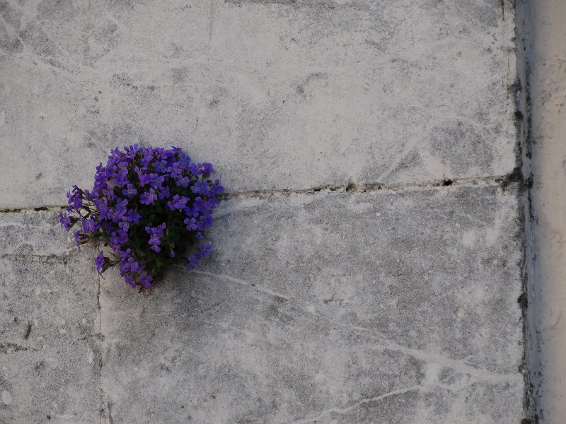 zdjęcie: JOZ_258.JPG