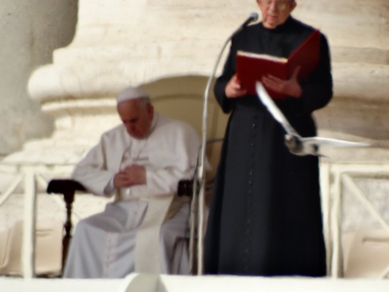 zdjęcie: JOZ_345.JPG