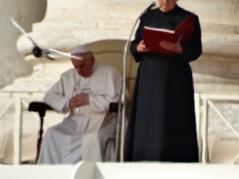 zdjęcie: JOZ_346.JPG