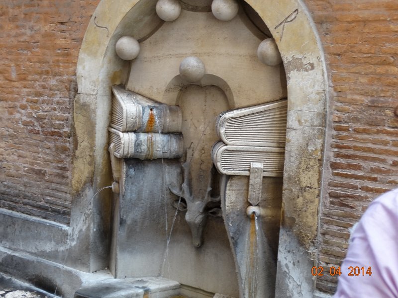 zdjęcie: JOZ_433.JPG