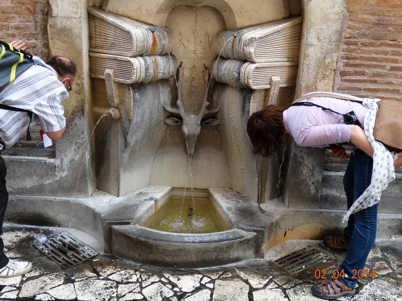 zdjęcie: JOZ_434.JPG