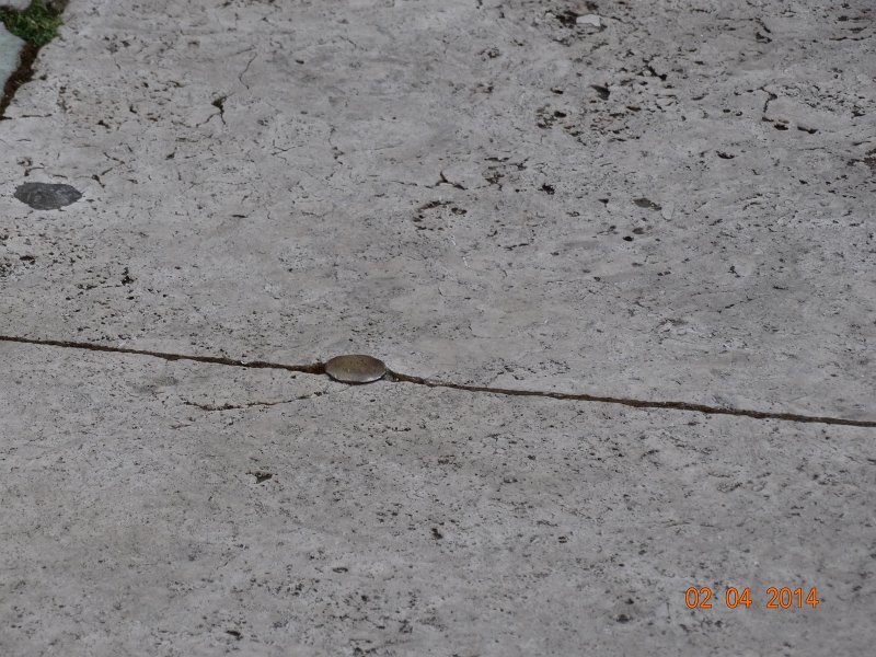 zdjęcie: JOZ_552.JPG