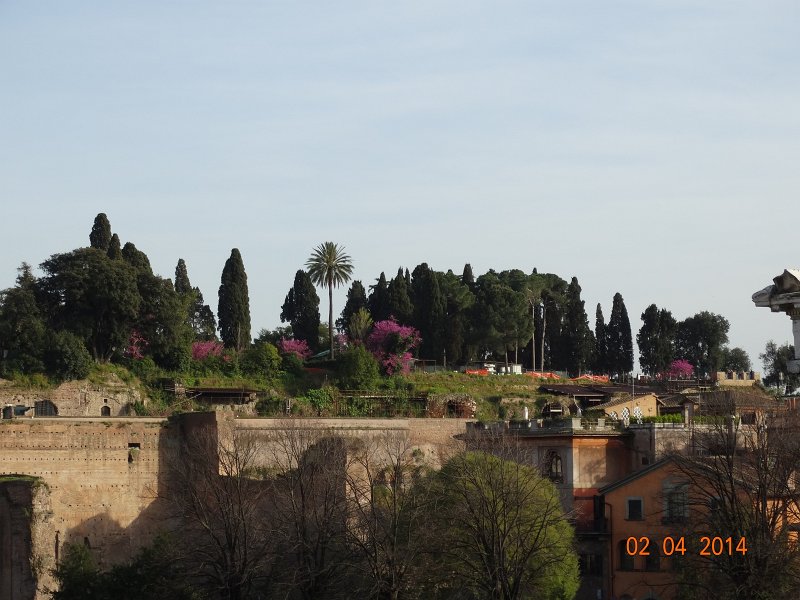 zdjęcie: JOZ_561.JPG