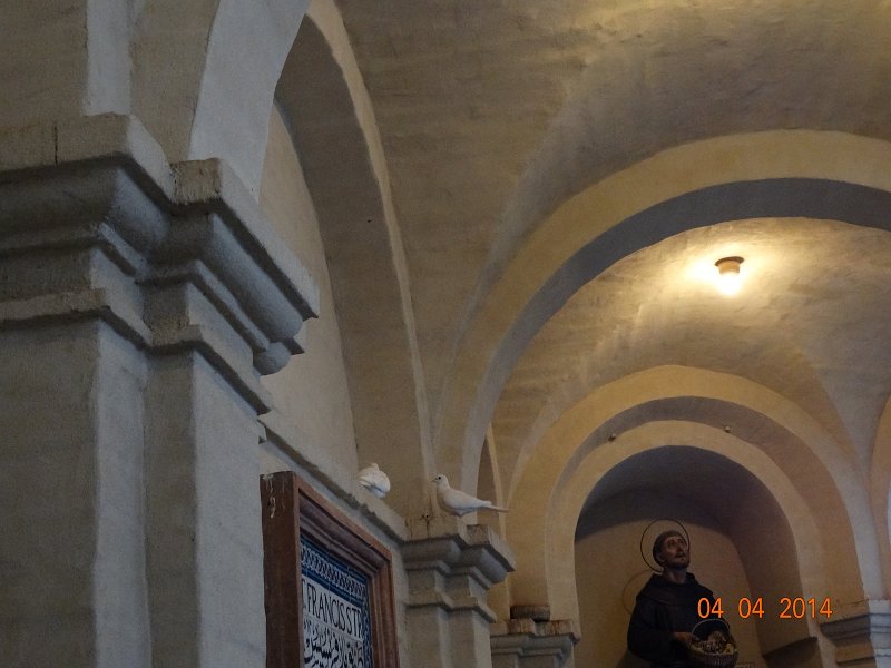 zdjęcie: JOZ_913.JPG