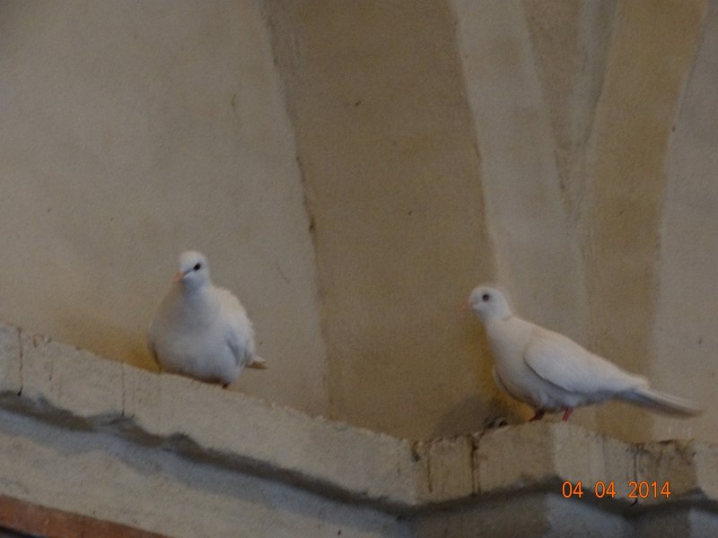 zdjęcie: JOZ_914.JPG