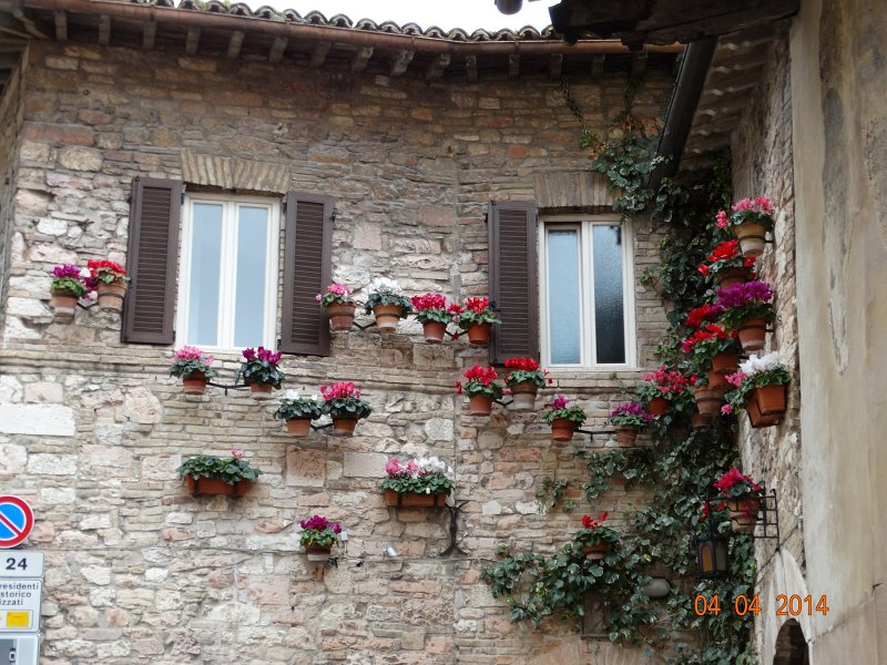 zdjęcie: JOZ_985.JPG