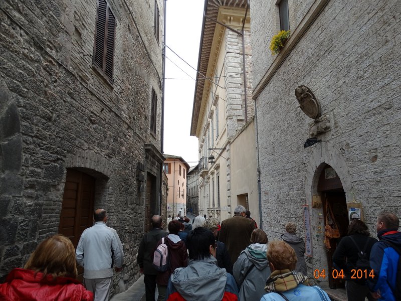 zdjęcie: JOZ_987.JPG