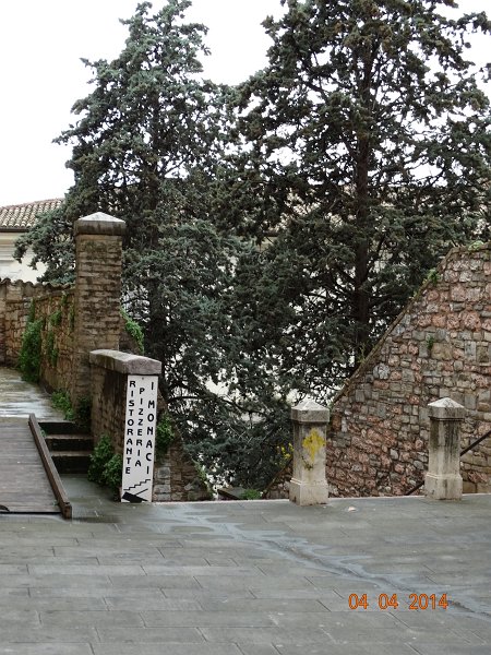 zdjęcie: JOZ_988.JPG