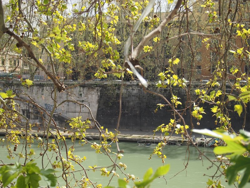 zdjęcie: anna_127.JPG