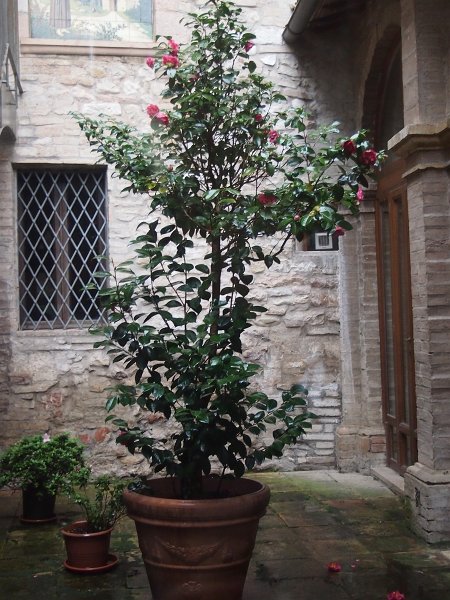 zdjęcie: anna_205.JPG