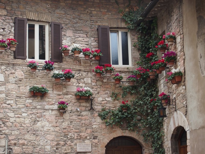 zdjęcie: anna_240.JPG